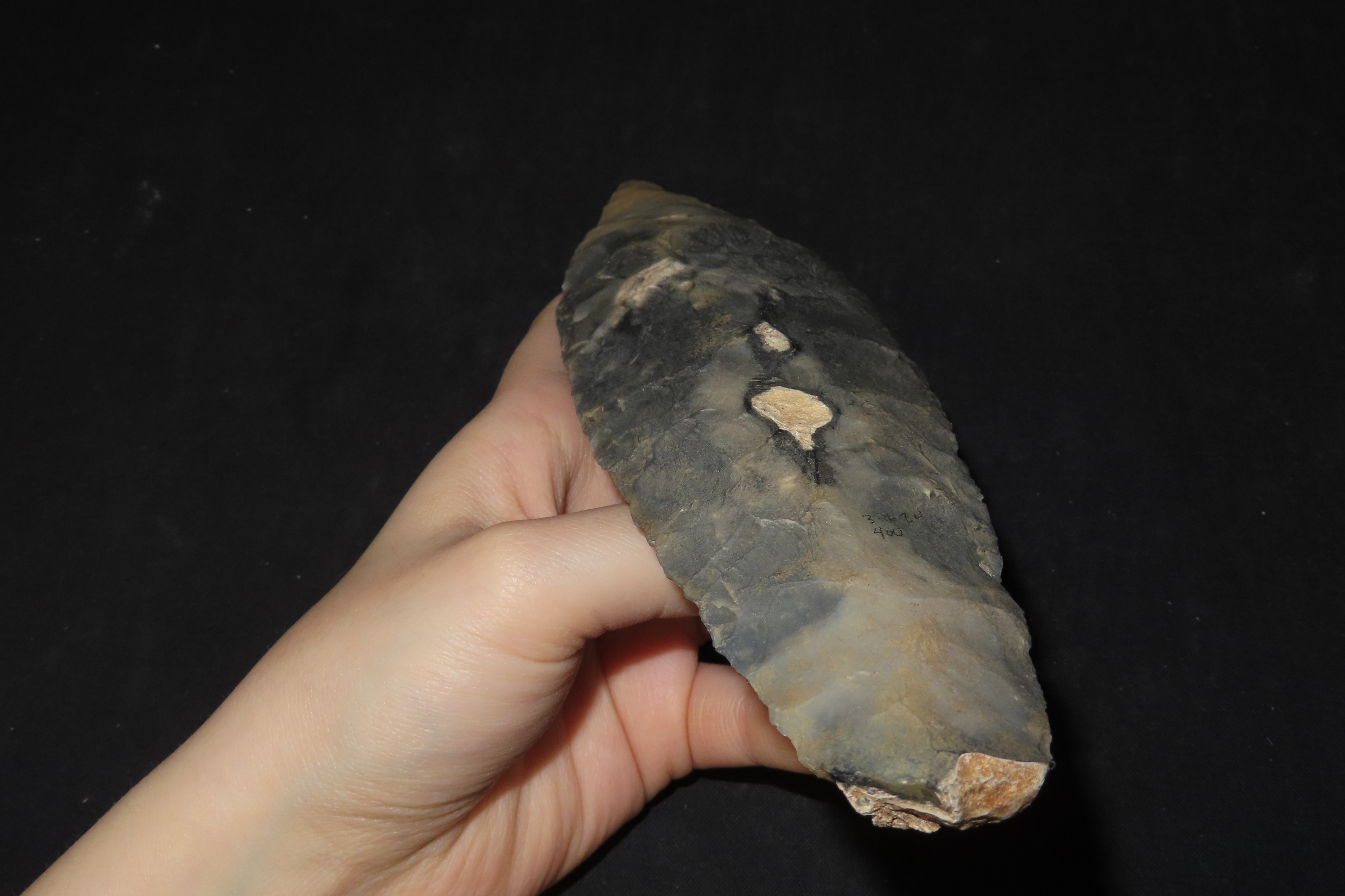 8" Maya Blade, Colha Chert, Belize