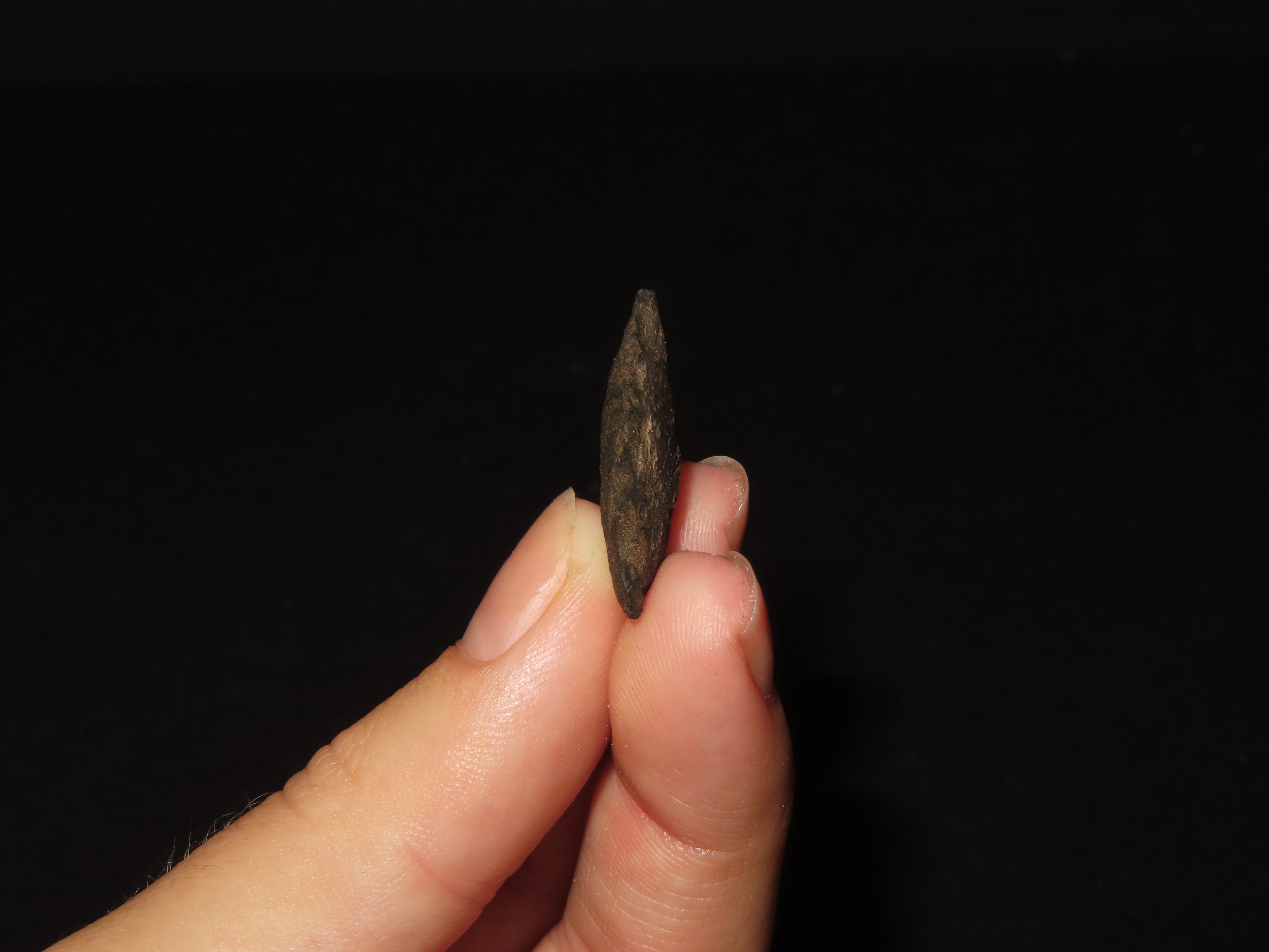 1" Elko Eared, New Mexico