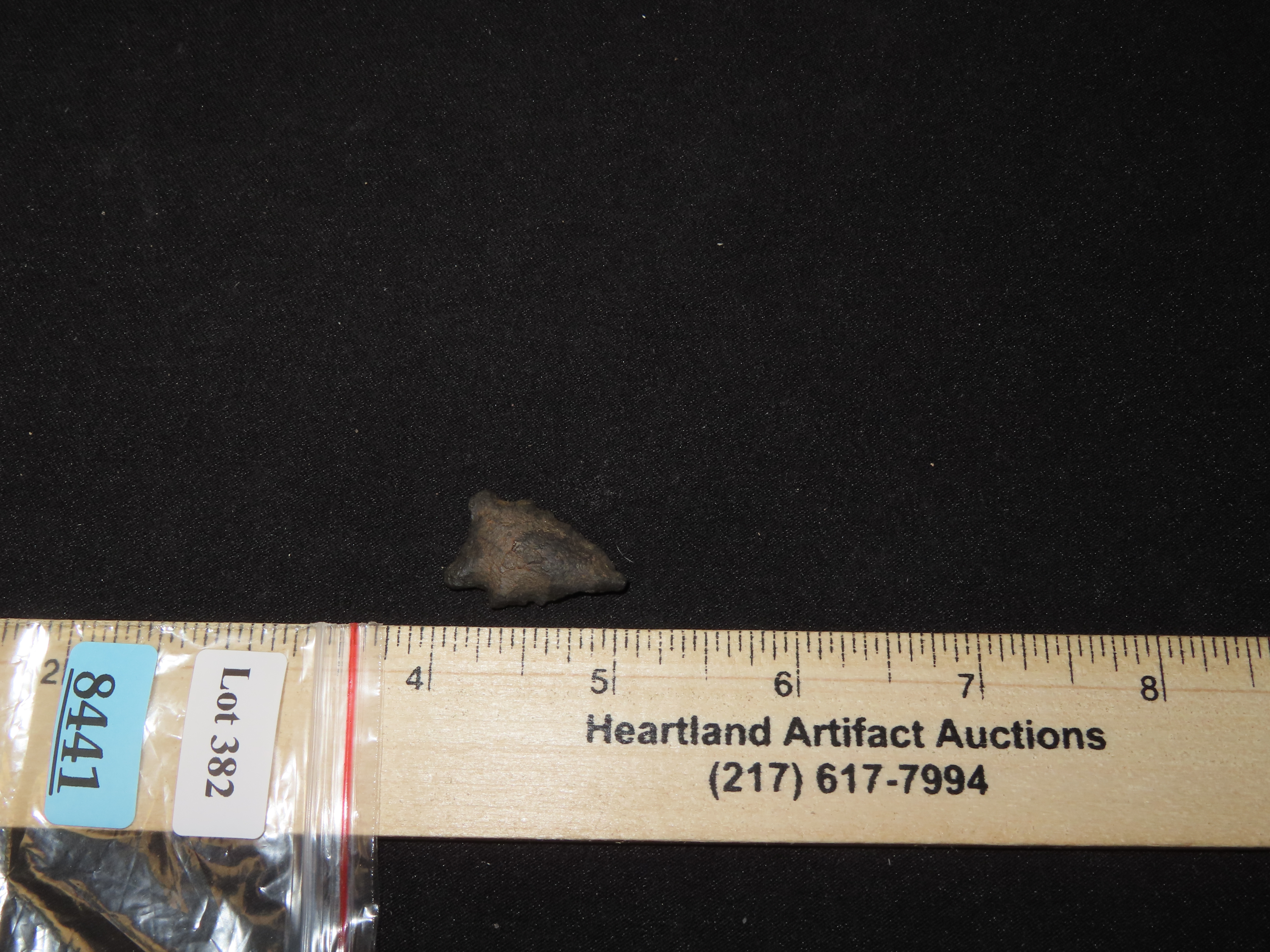 1" Elko Eared, New Mexico