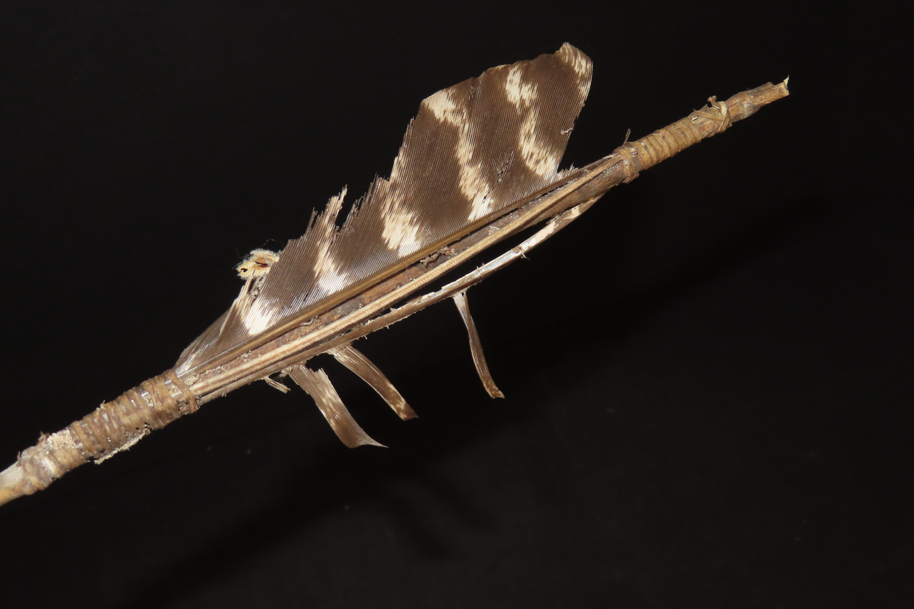 22 1/4" Antique Native Arrow