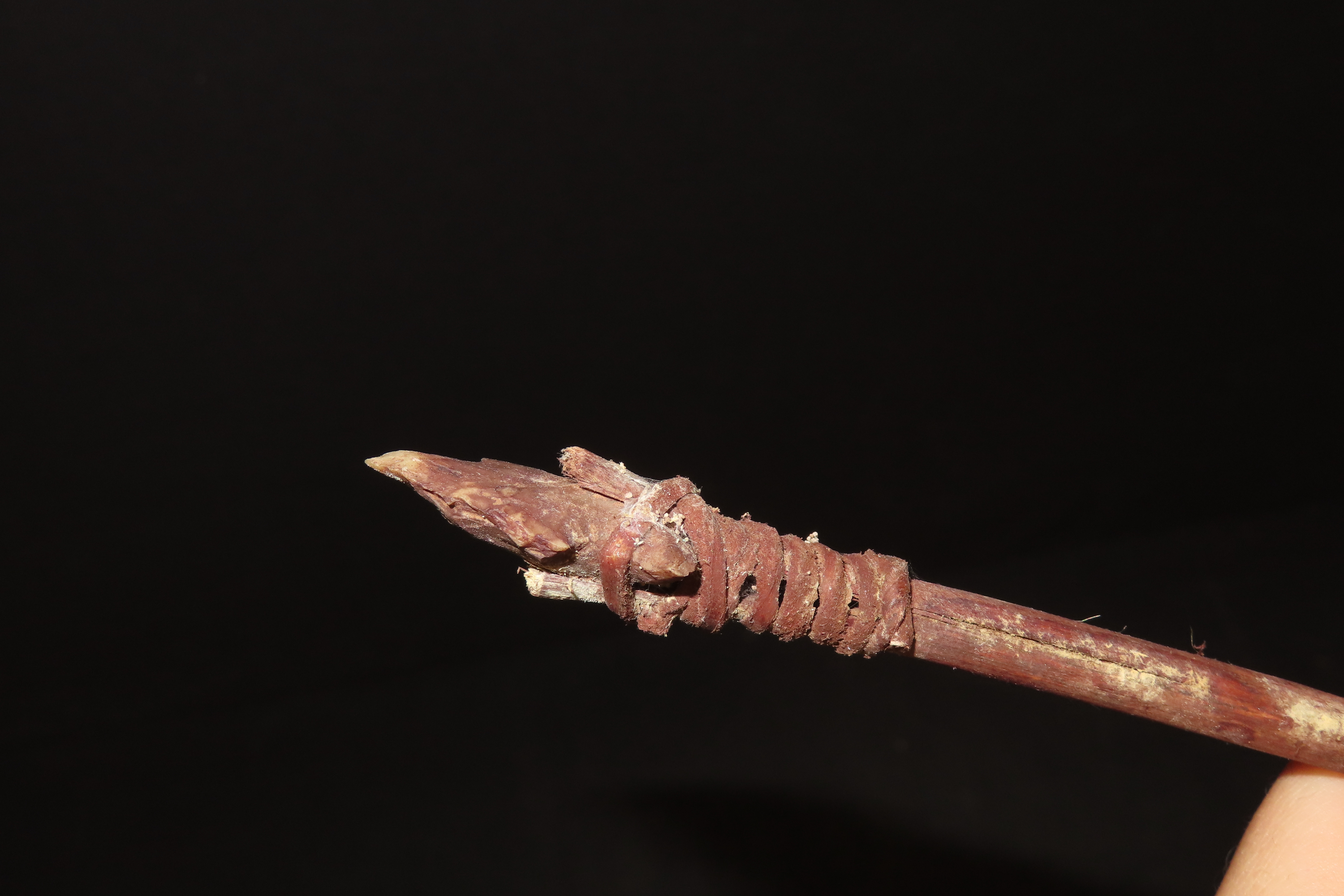 23 1/2" Antique Native Arrow