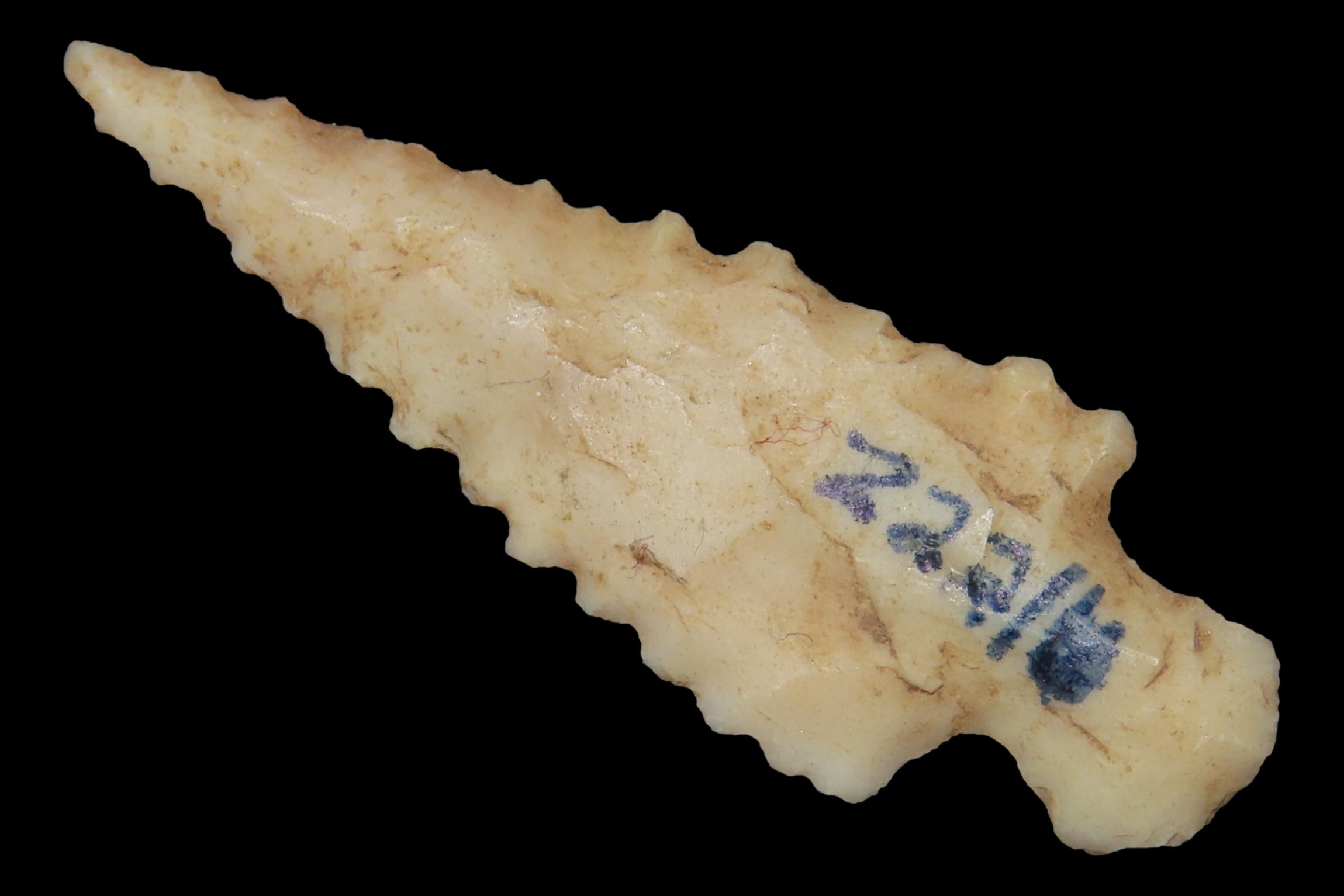 Serrated Cahokia Bird Point, St. Louis Area, Found by Ron Knowles