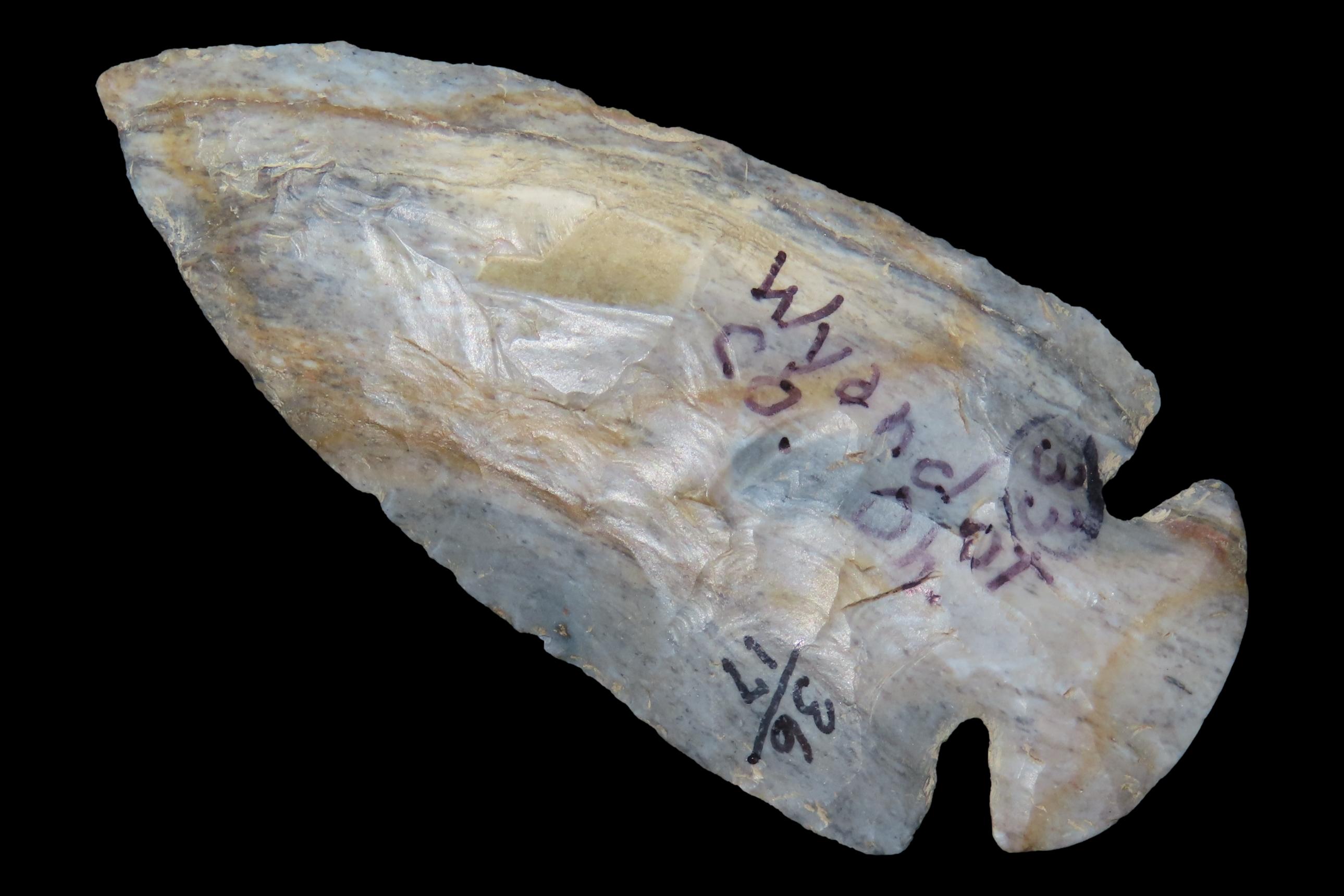 3 1/16" Colorful Dovetail, Wyandot Co., Ohio, Ex. Copeland