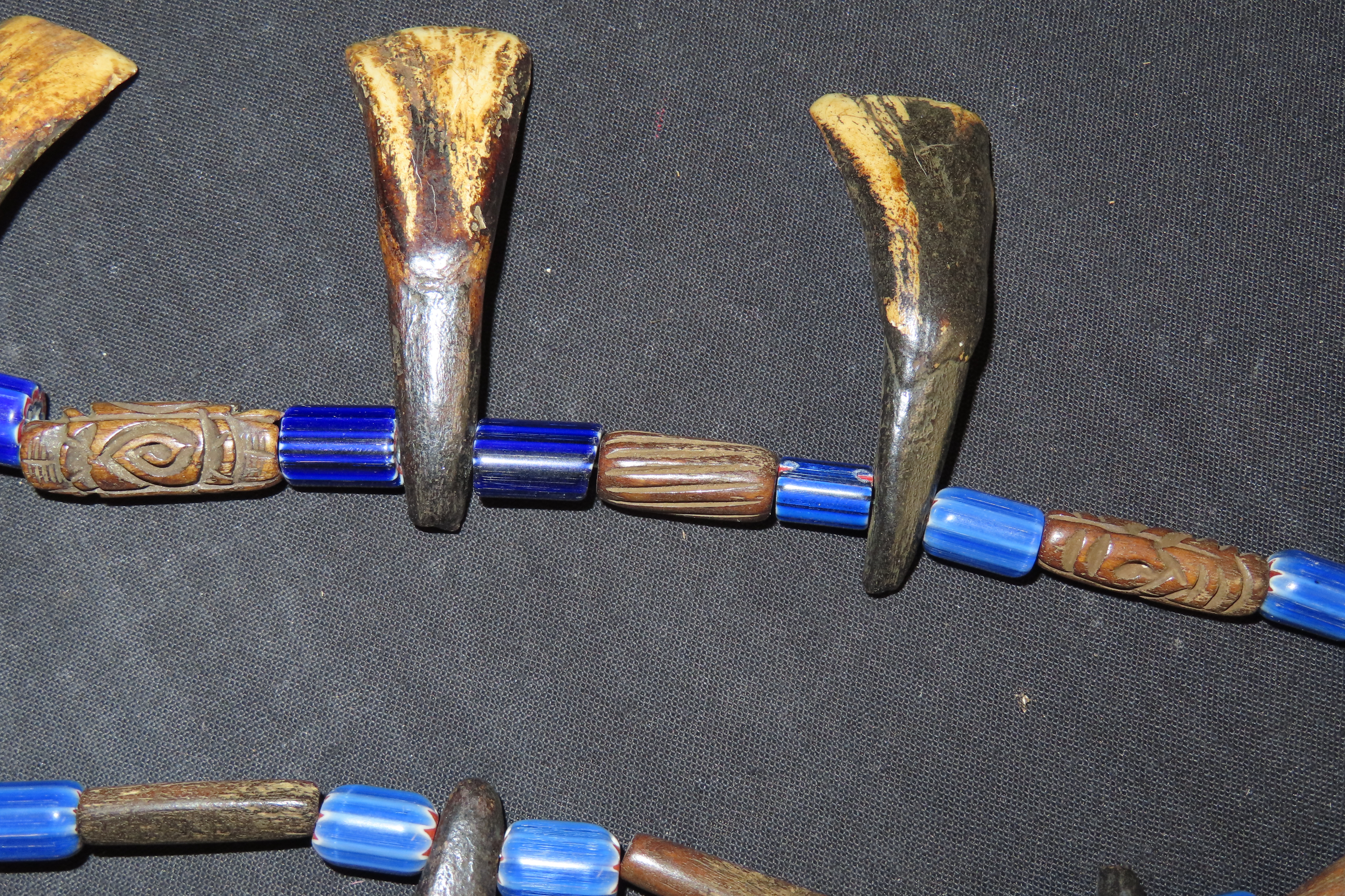 Drilled Buffalo Tooth Necklace