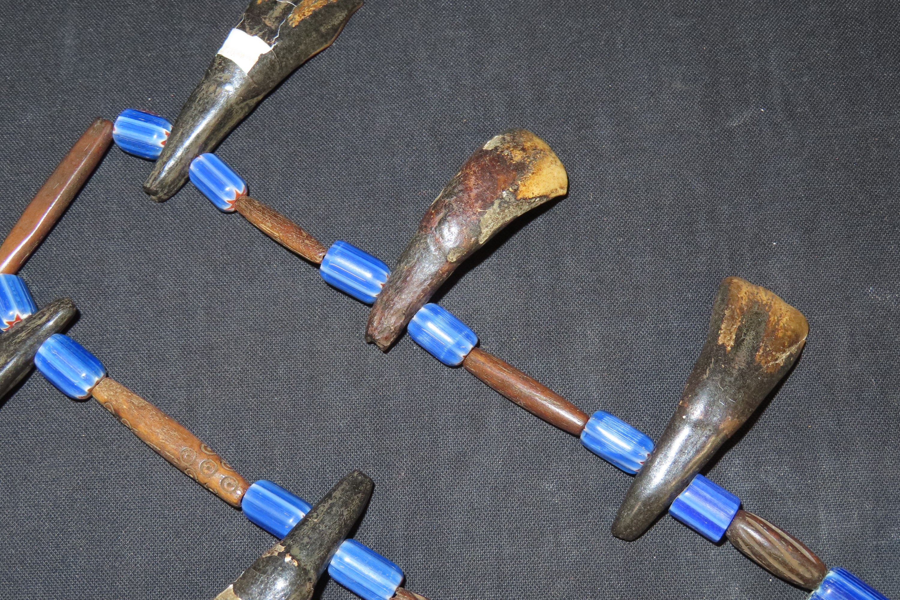 Drilled Buffalo Tooth Necklace