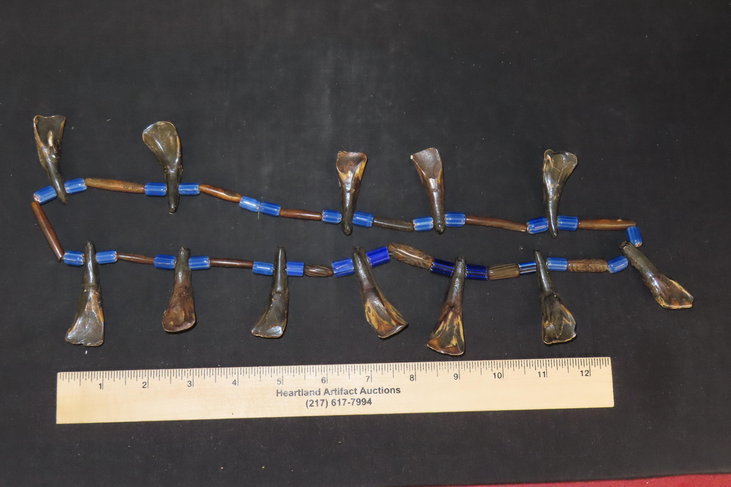 Drilled Buffalo Tooth Necklace