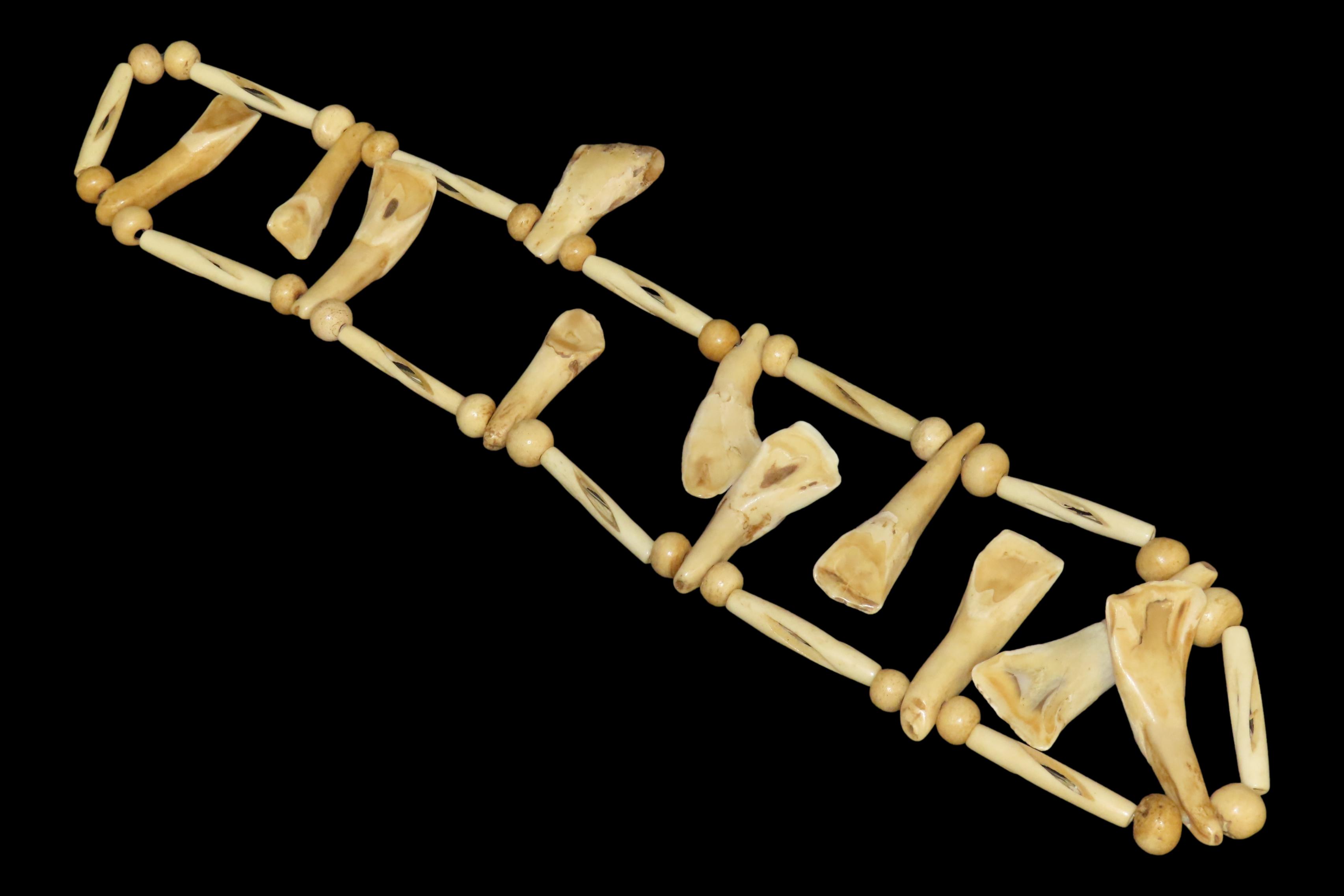 Drilled Buffalo Tooth Necklace
