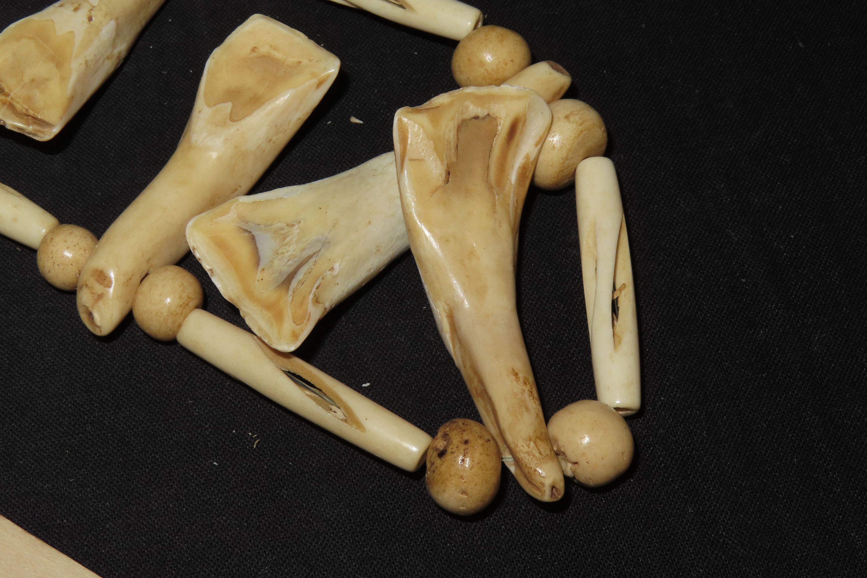 Drilled Buffalo Tooth Necklace