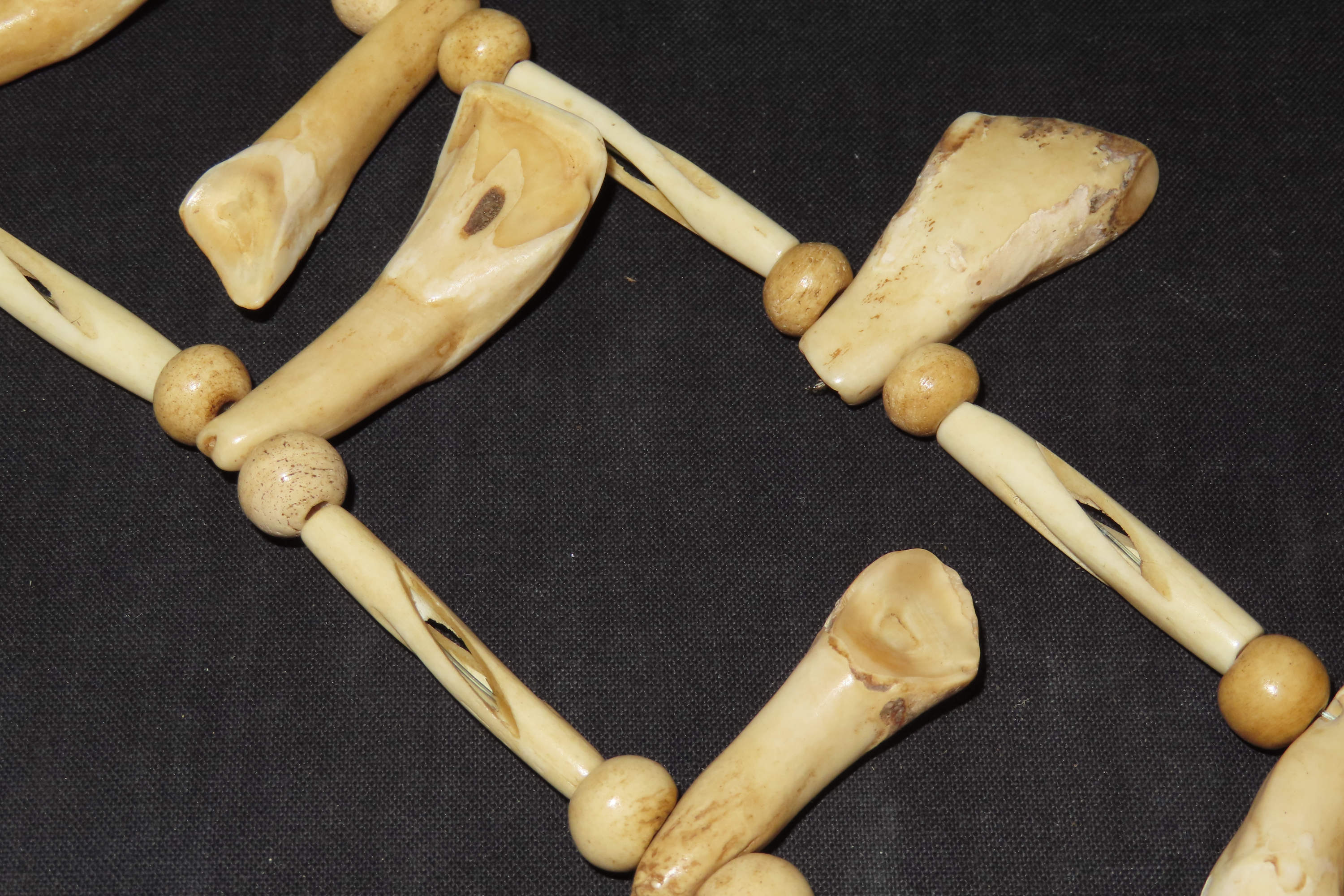 Drilled Buffalo Tooth Necklace
