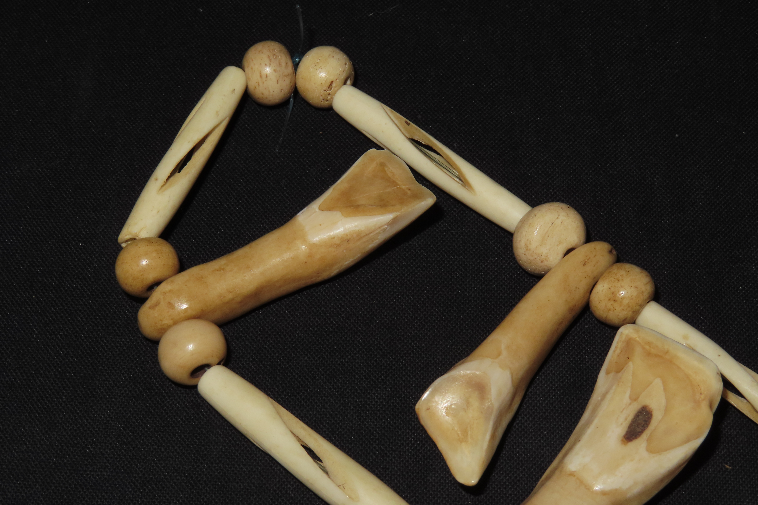 Drilled Buffalo Tooth Necklace