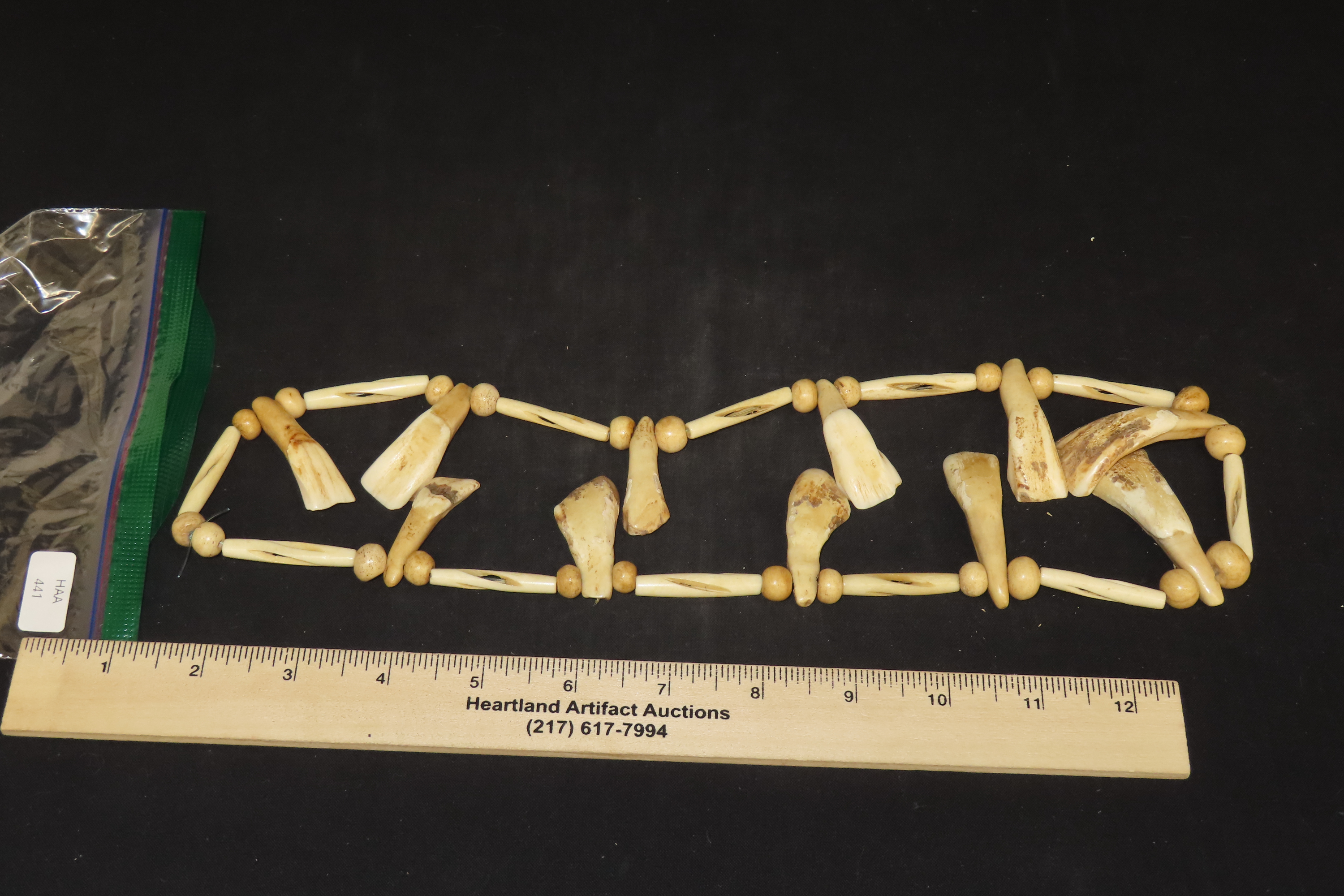 Drilled Buffalo Tooth Necklace