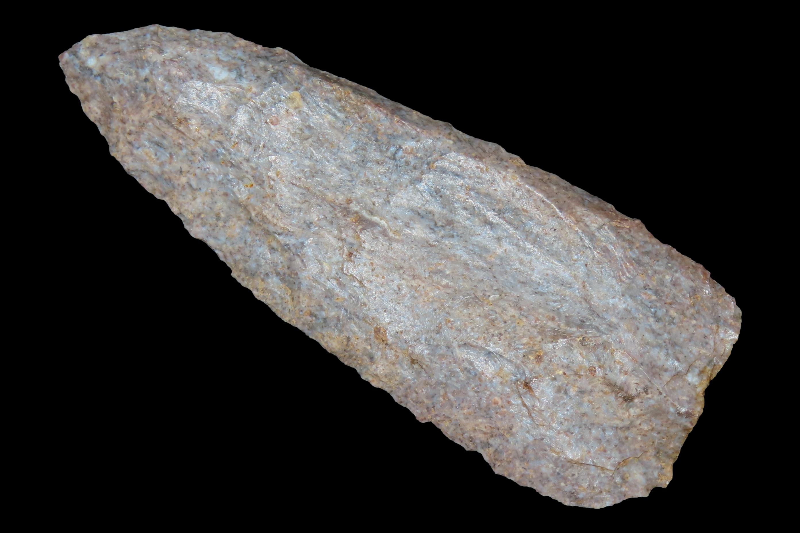 3 1/2" Fossil-Filled Cobbs Knife Blade, Meade Co., Kentucky