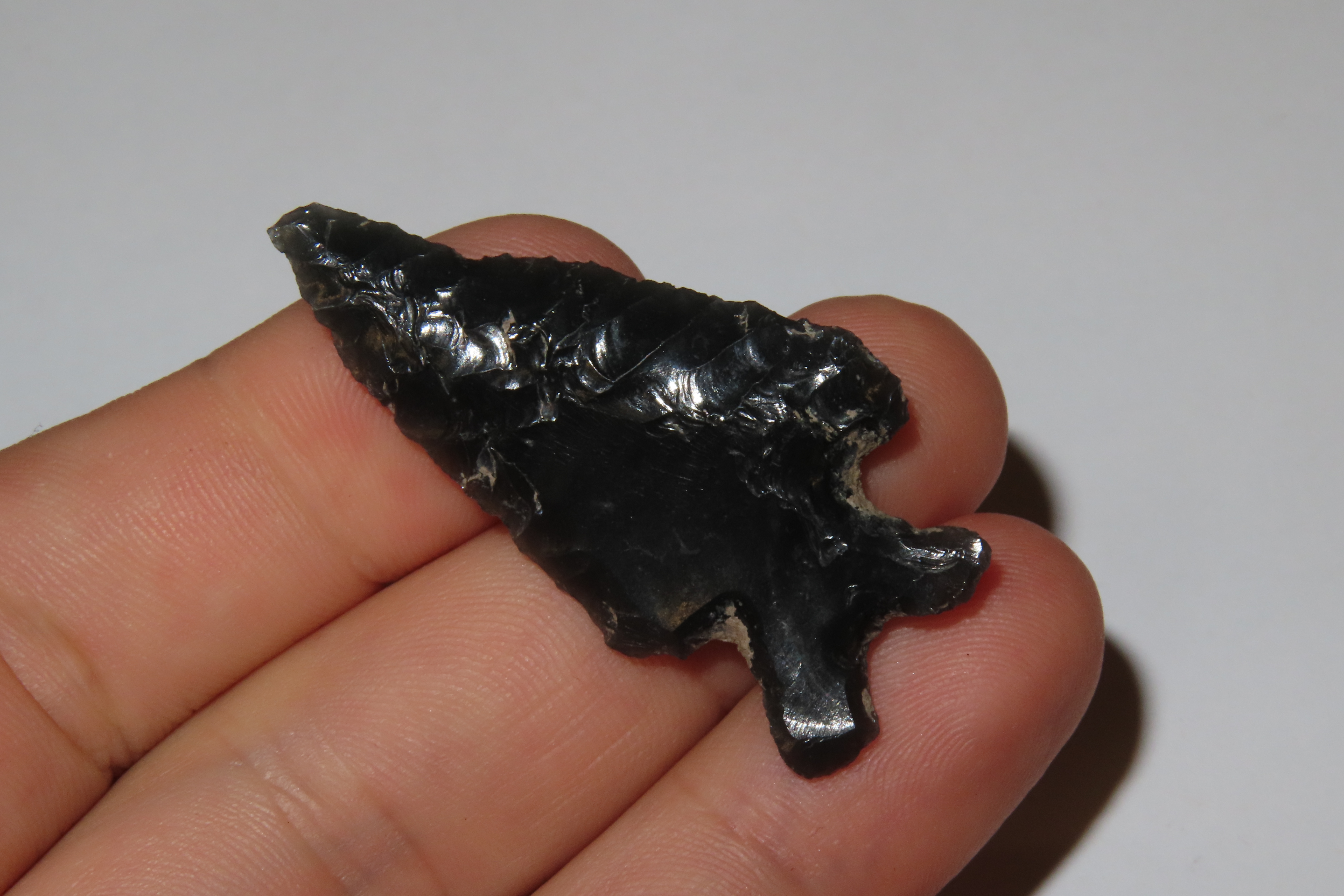 Obsidian Bifurcated Base Bird Point, Oregon
