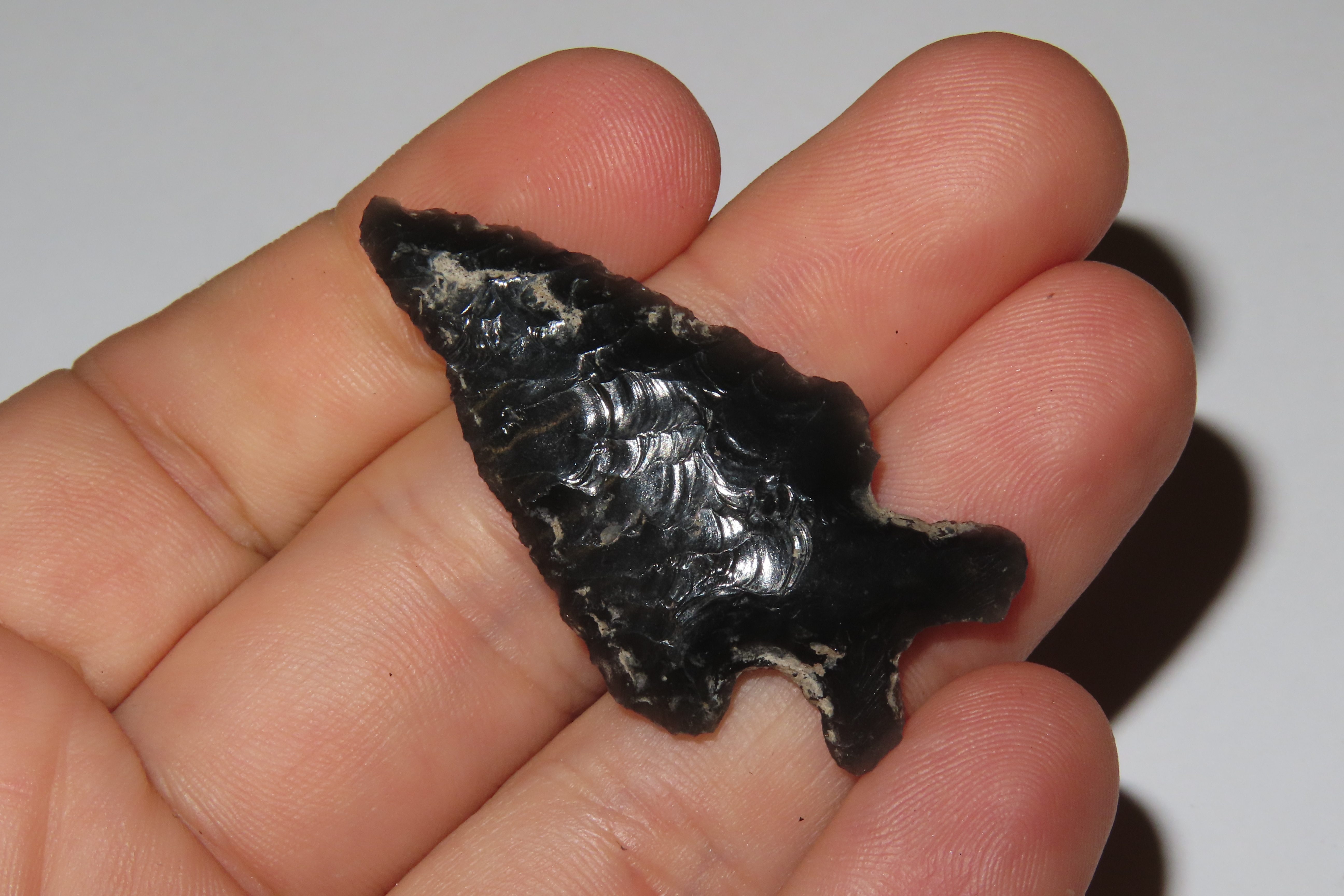 Obsidian Bifurcated Base Bird Point, Oregon