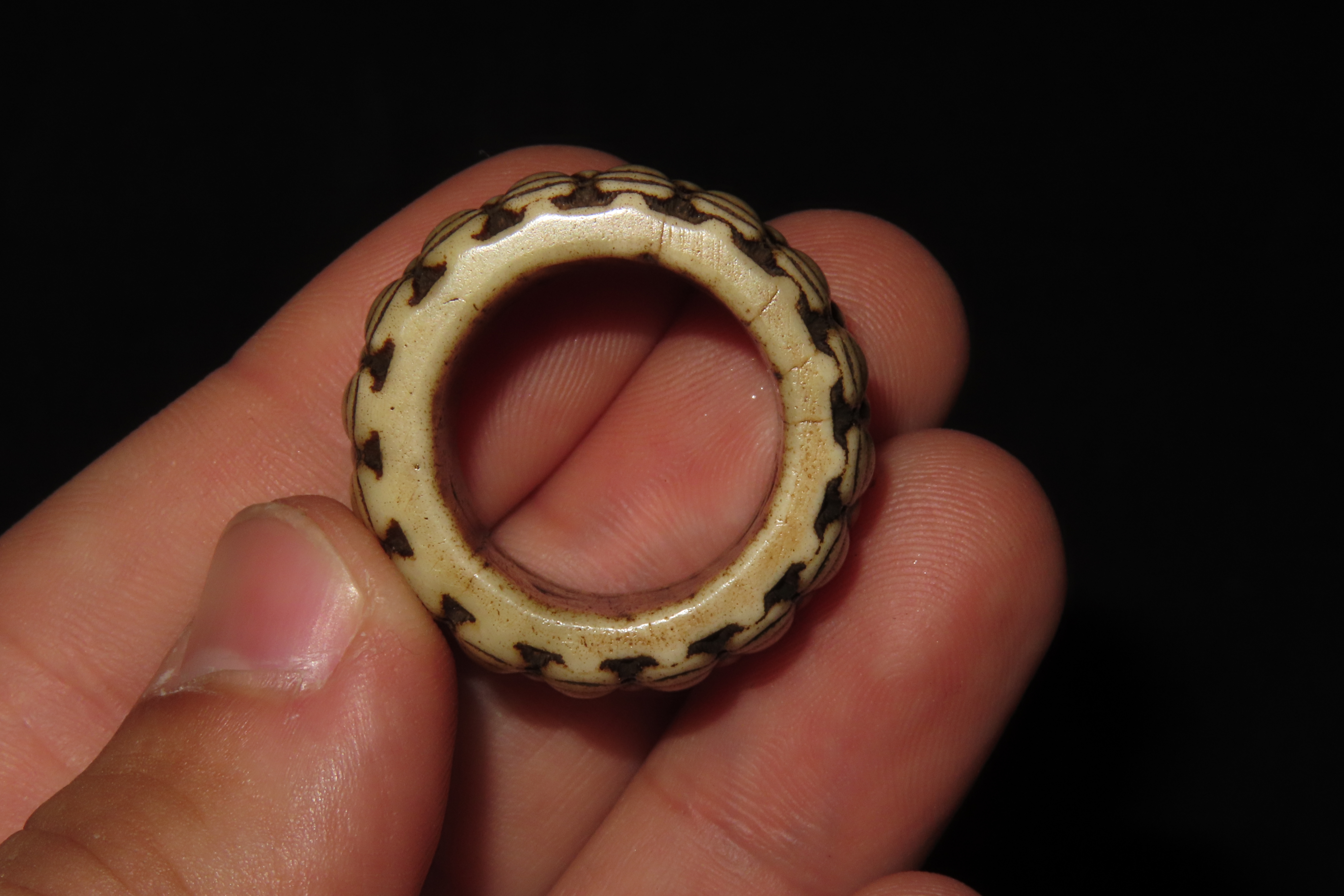 Carved Bone Ring with Teeth or Fangs, Mexico