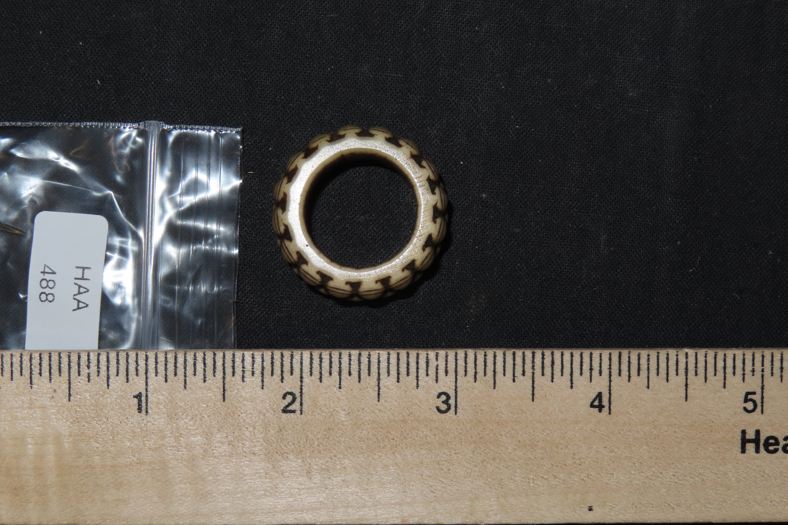 Carved Bone Ring with Teeth or Fangs, Mexico