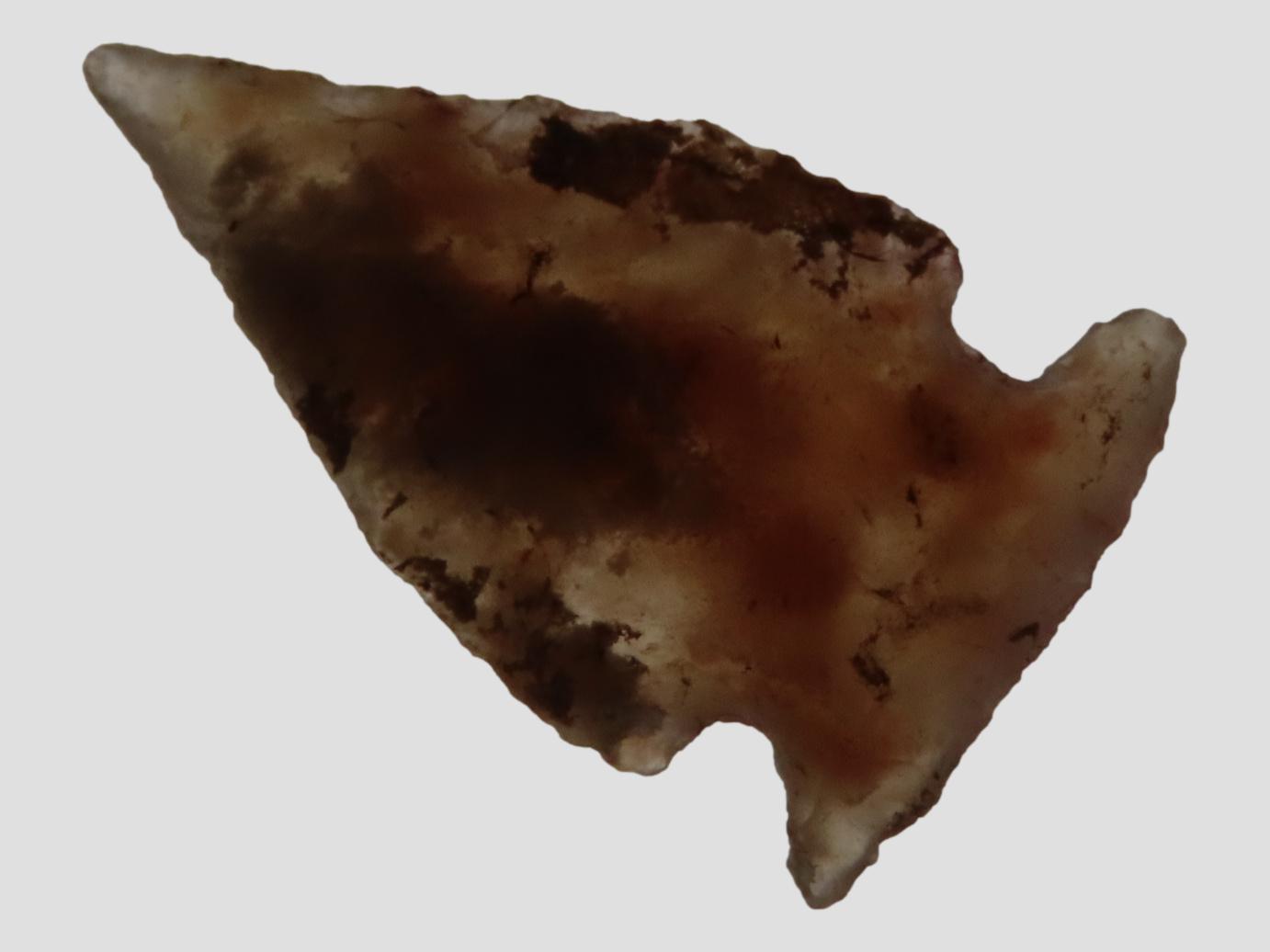 Nice Translucent Bird Point, New Mexico