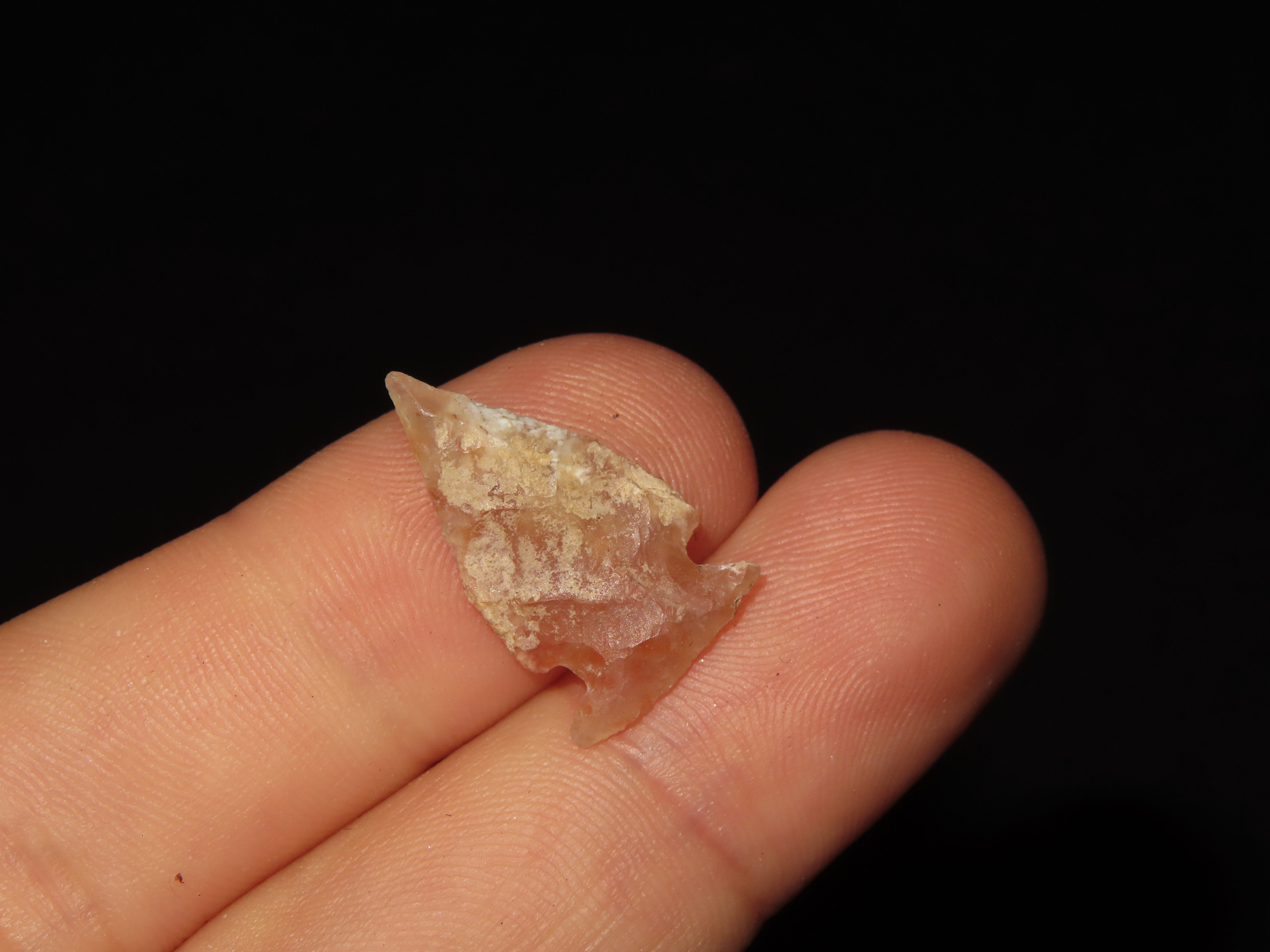 Nice Translucent Bird Point, New Mexico