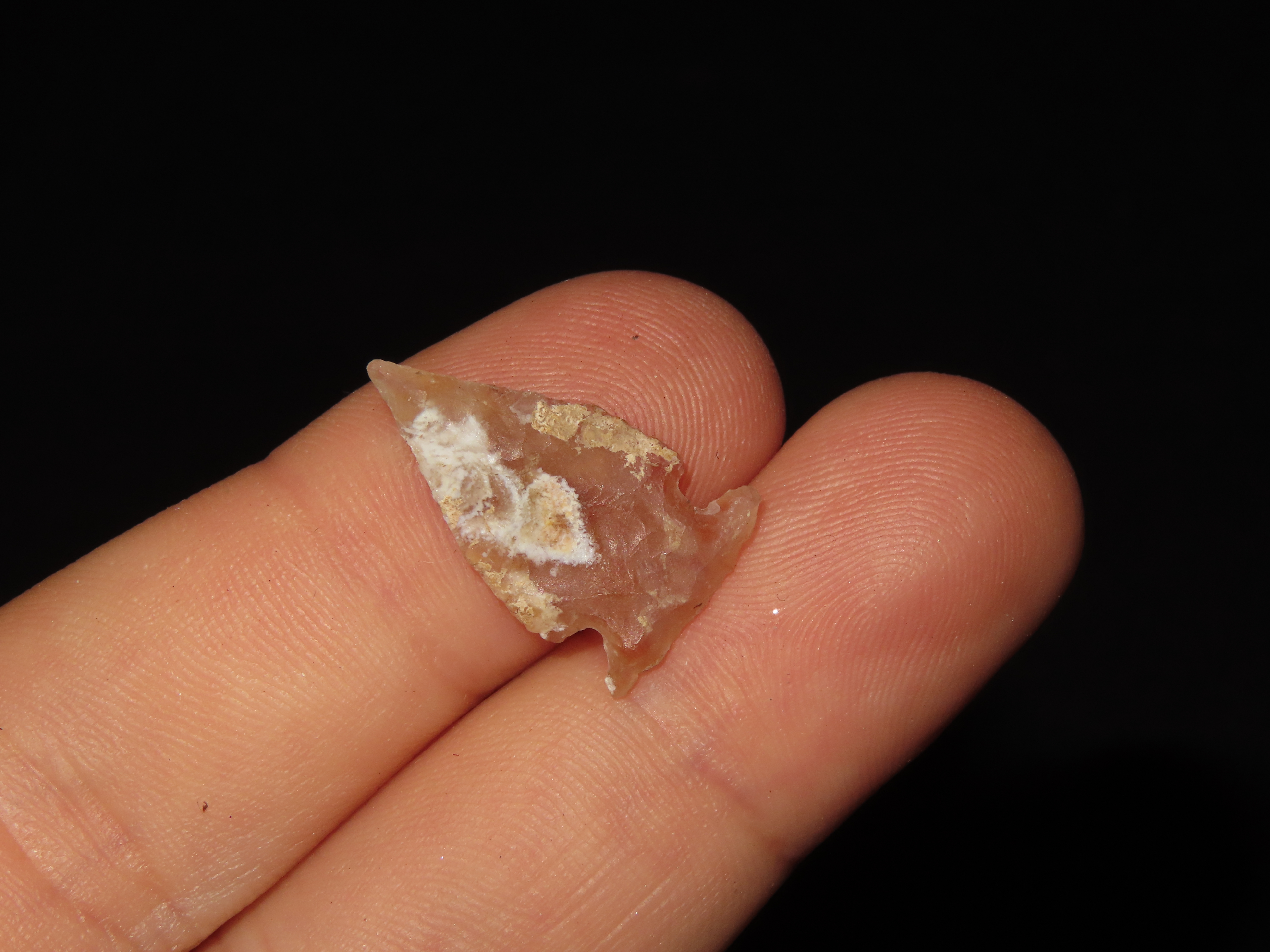 Nice Translucent Bird Point, New Mexico