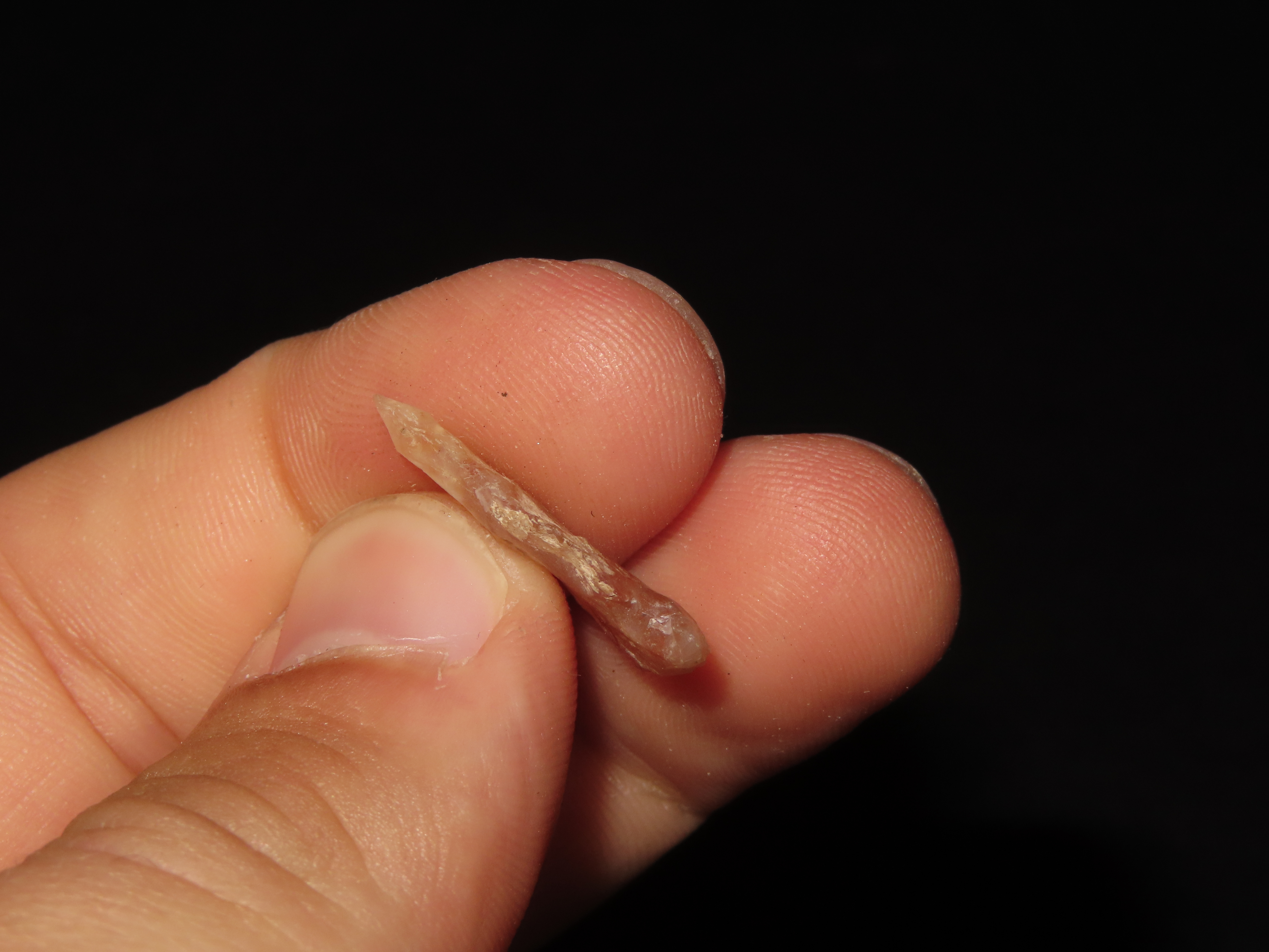 Nice Translucent Bird Point, New Mexico