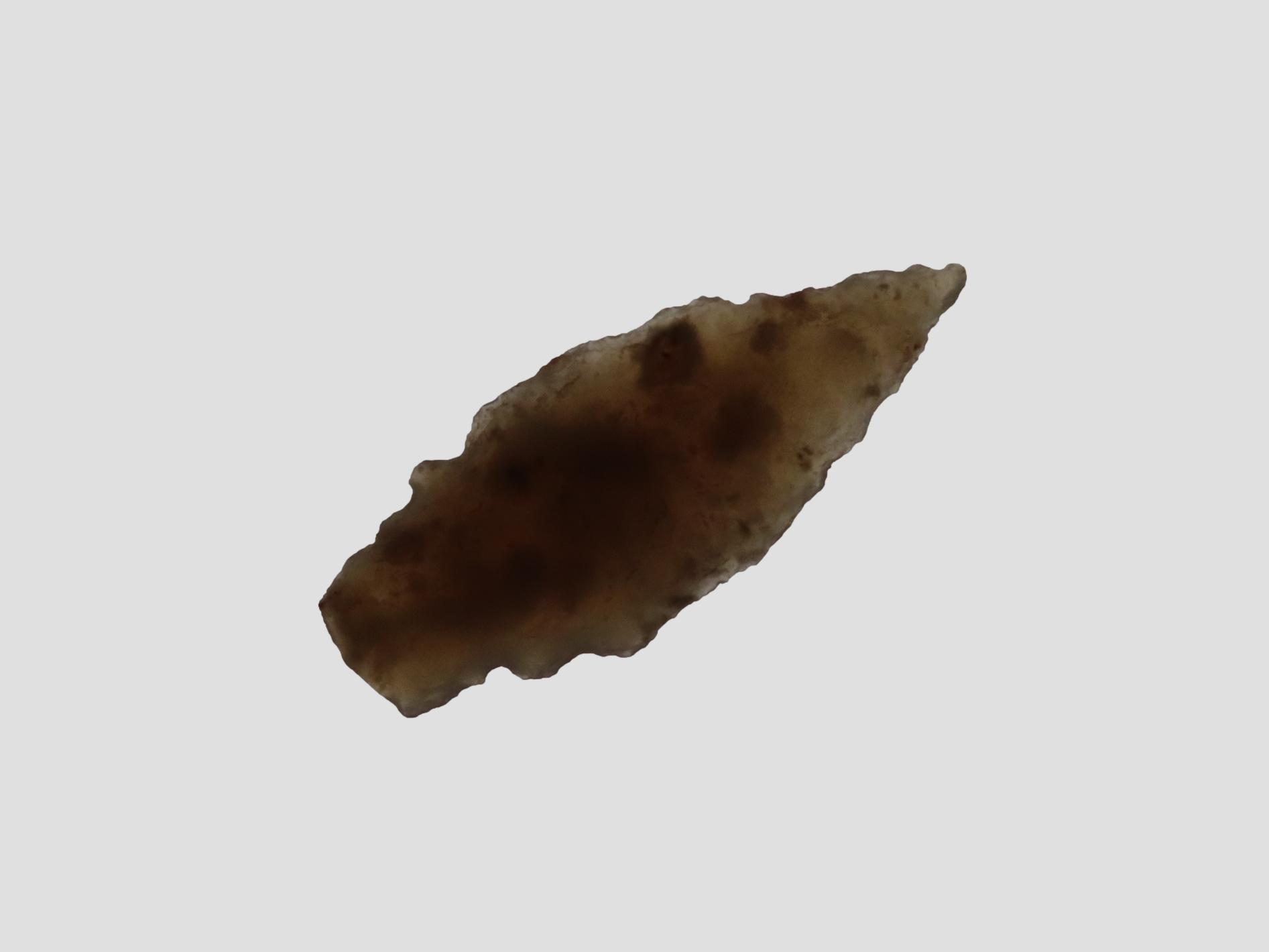 Double-Notch Bird Point / Arrowhead, Translucent Agate, New Mexico