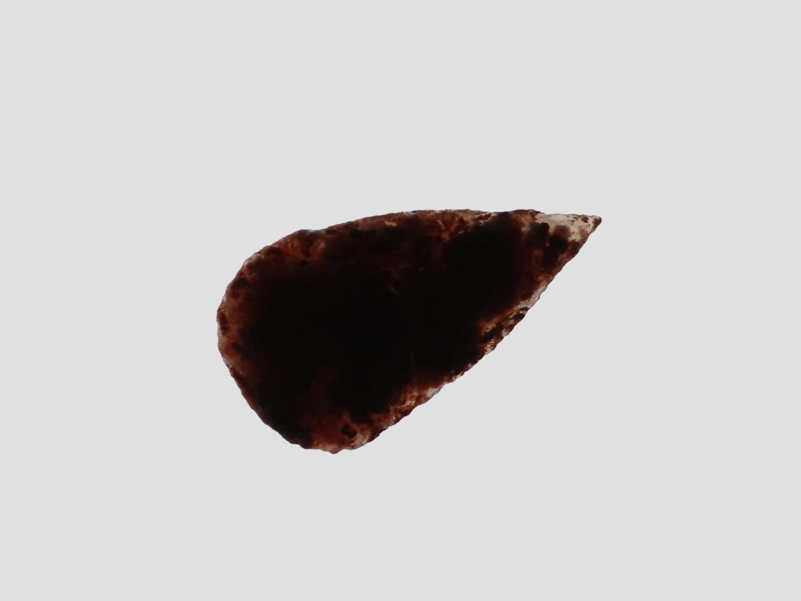 Translucent Agate Ovoid Blade / Bird Point, Eastern Colorado