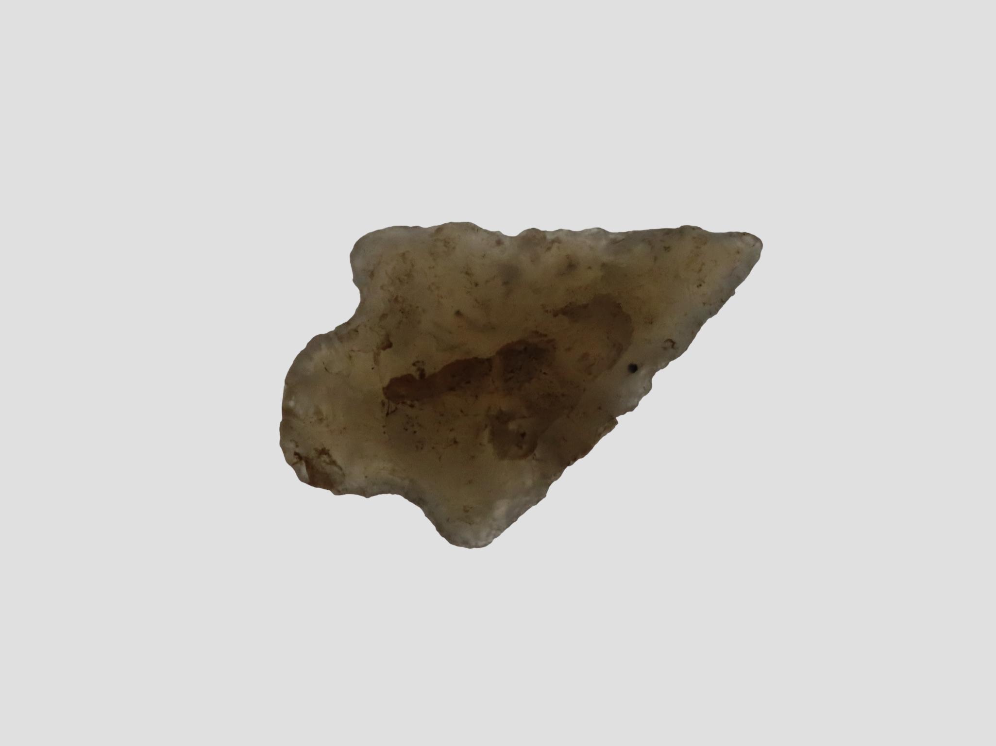 Translucent Agate Bird Point, Eastern Colorado