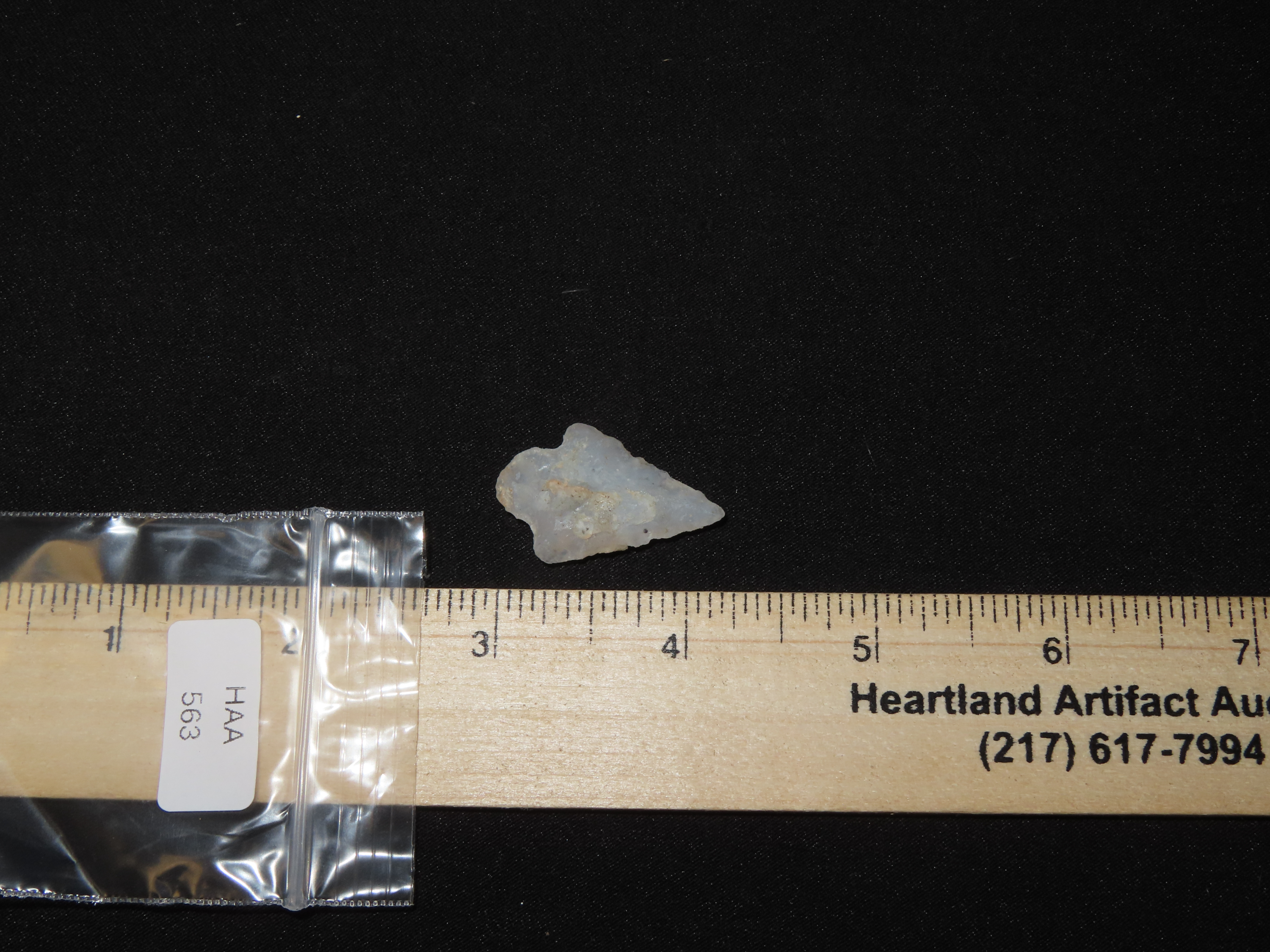 Translucent Agate Bird Point, Eastern Colorado