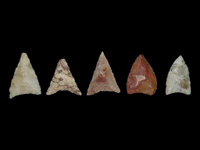 Lot of African Neolithic Arrowheads, Sahara Desert