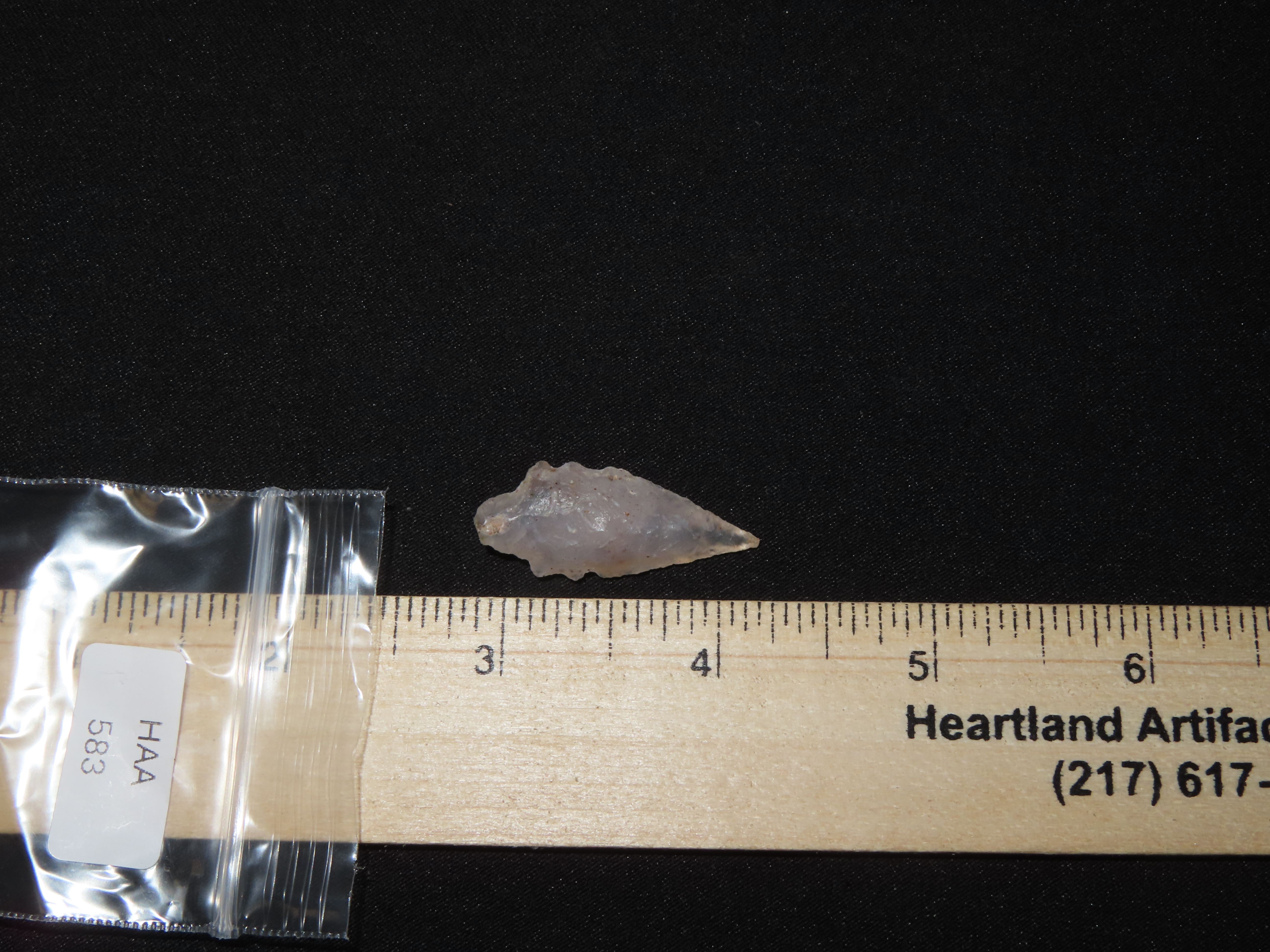 Translucent Agate Serrated Multi-Notch Bird Point, New Mexico