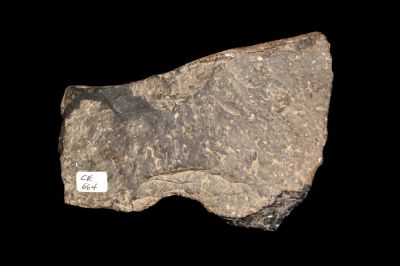 5" Nicoya Stone Axe found near Quiriman, Costa Rica. A fine Nicoya stone axe found near Quiriman 