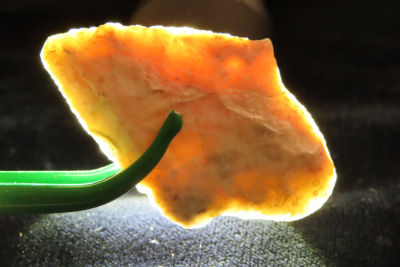 2" Turkeytail, found in S.E. Missouri / N.E. Arkansas. 2" Turkeytail, found in S.E. Missouri / 