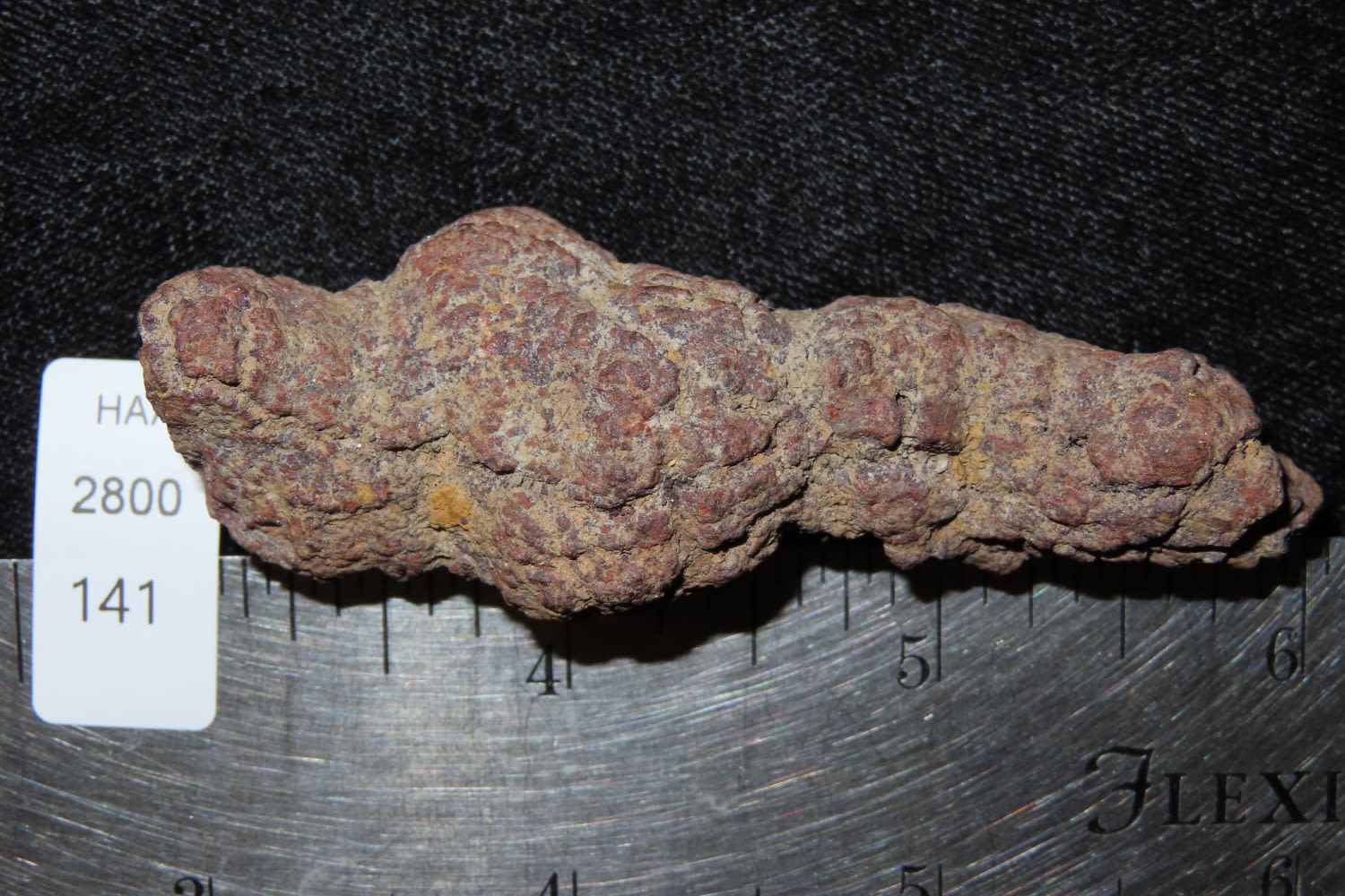 Lot 141 Fossilized Dinosaur Dung / Poop Heartland Artifact Auctions