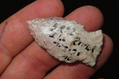 1 5/8" Grand , Collection of Roger Doetman, Effingham, Illinois