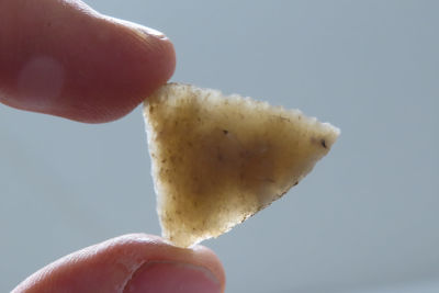 1" High Grade, translucent Mississippian Triangle , Collection of Roger Doetman, Effingham, Illinois