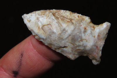 1 1/2" Robbins , Collection of Roger Doetman, Effingham, Illinois