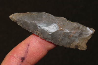 2 3/8" Paleo Relic, ground along the edge of the base , Collection of Roger Doetman, Effingham 