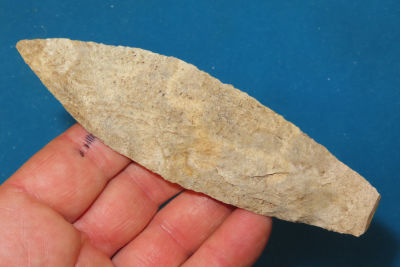 5" Sedalia from Monroe County, Missouri.