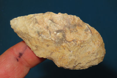 2 1/2" Colorful Blade