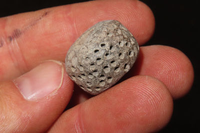 pre-Columbian pottery bead Collection of Ralph Kempf, Southeast Iowa