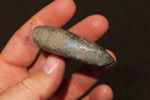 2 1/4" celt , nicely polished, Collection of Roger Doetman, Effingham, IllinoisImage - 1