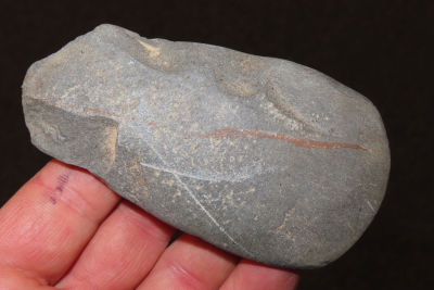 3 5/8" flint celt Collection of Roger Doetman, Effingham, Illinois