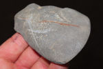 3 5/8" flint celt Collection of Roger Doetman, Effingham, IllinoisImage - 1