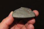 3 5/8" flint celt Collection of Roger Doetman, Effingham, IllinoisImage - 2