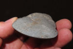 3 5/8" flint celt Collection of Roger Doetman, Effingham, IllinoisImage - 6