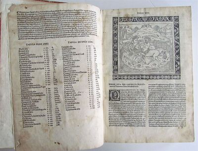 1502 PLUTRACH LIVES VITAE POST INCUNABULA ANTIQUE FOLIO IN LATIN INCUNABLE RARE. Plutarchus 