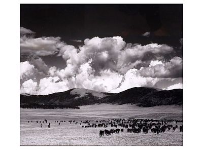 HARVEY CAPLIN (AMERICAN, 1915–1984) GELATIN SILVER PHOTOGRAPH "THE VALLE GRANDE", 20TH CENTURY. B 