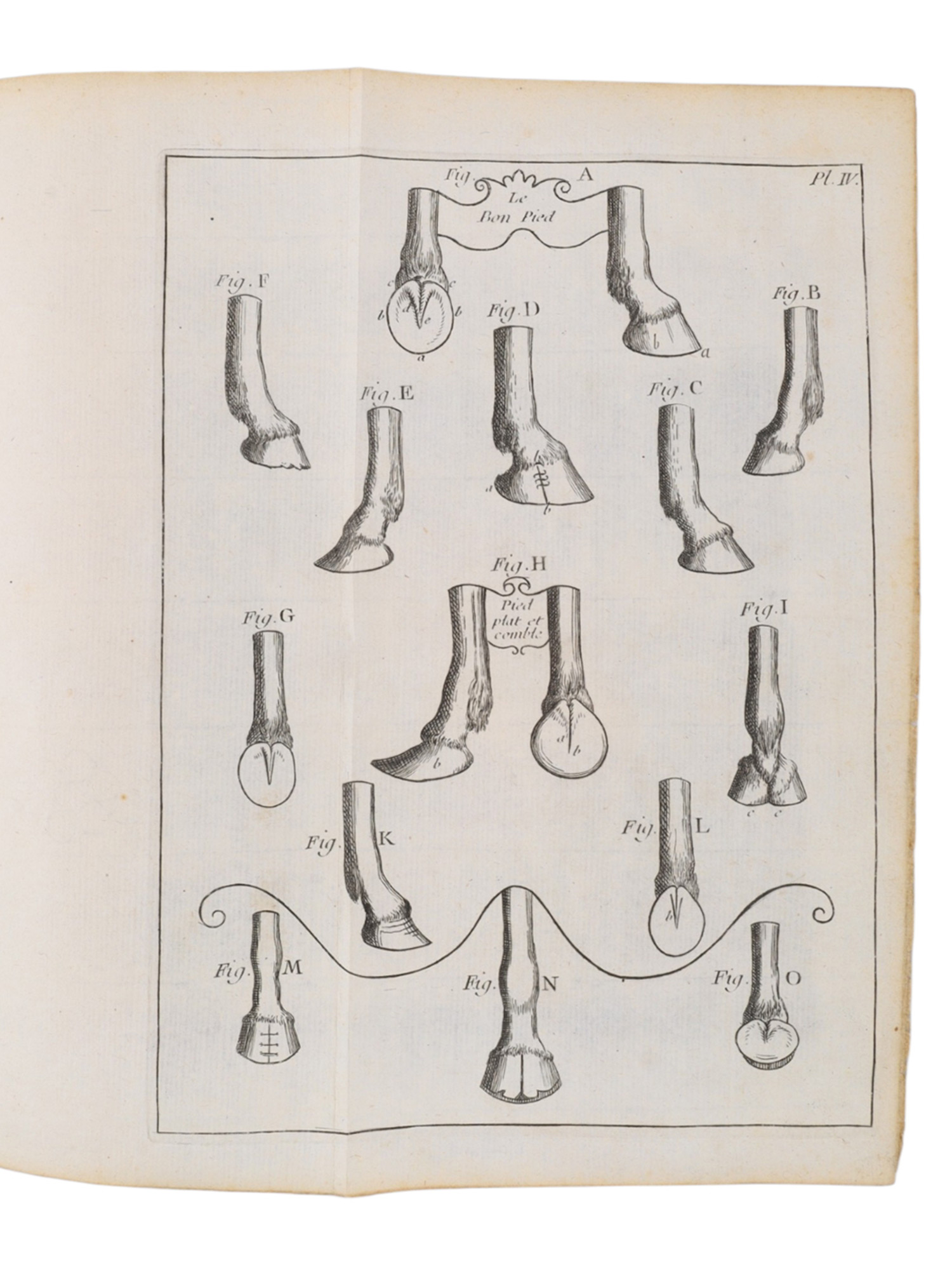 1770 LE NOUVEAU PARFAIT MARÉCHAL, GARSAULT (FRANCOIS ALEXANDRE PIERRE)