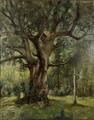 KARLIS ROZENS [KARL ROSEN] (1864 -1934)
Oak in Latvian forest. signed and dated 'K. Rosen 1929' 