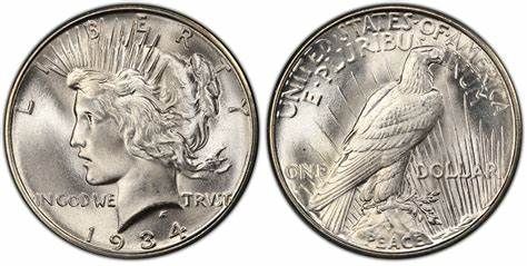 Lot 228: 1934-D Peace Dollar Raw